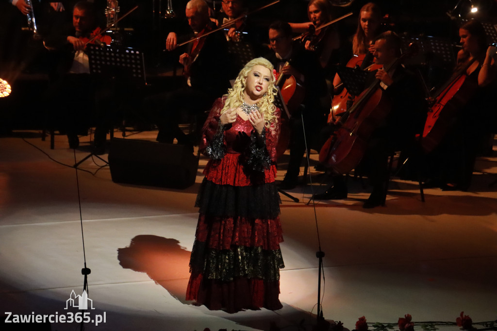 Fotorelacja VIII: III Festiwal Wiesława Ochmana w Zawierciu - Gala Finałowa