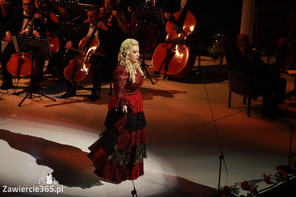 Fotorelacja VIII: III Festiwal Wiesława Ochmana w Zawierciu - Gala Finałowa