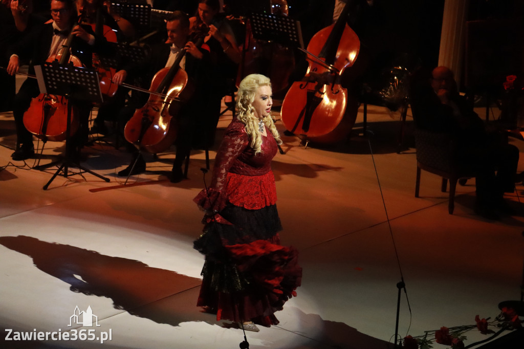 Fotorelacja VIII: III Festiwal Wiesława Ochmana w Zawierciu - Gala Finałowa