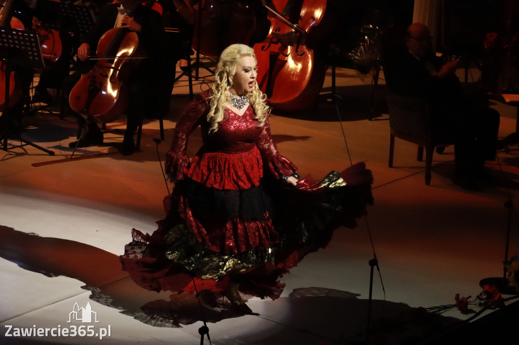 Fotorelacja VIII: III Festiwal Wiesława Ochmana w Zawierciu - Gala Finałowa