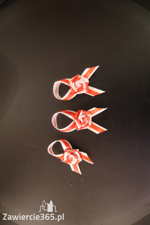 Fotorelacja: Święto Niepodległości w Pałacyku nad Wartą w Zawierciu Kromołowie