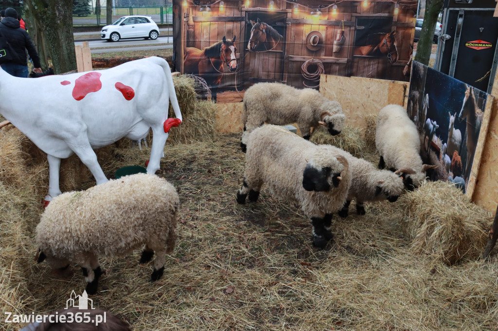 Fotorelacja II: Zawierciańska Wigilia Miejska