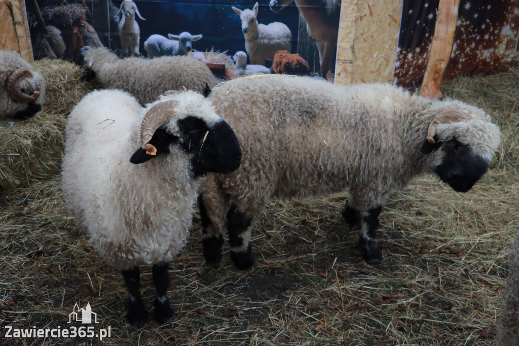 Fotorelacja II: Zawierciańska Wigilia Miejska
