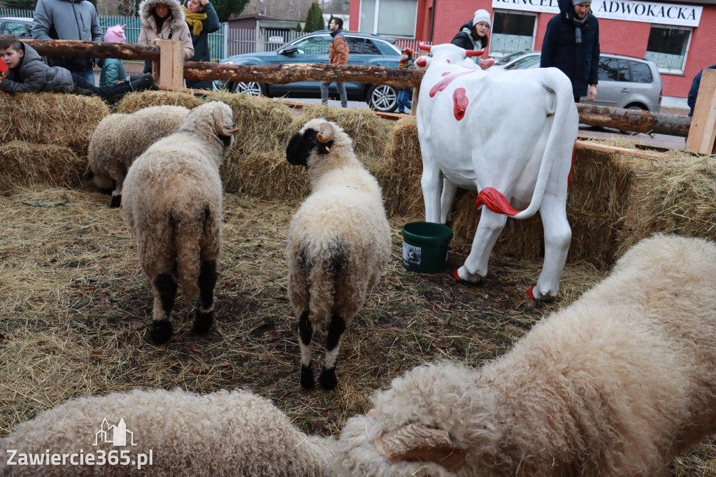 Fotorelacja II: Zawierciańska Wigilia Miejska