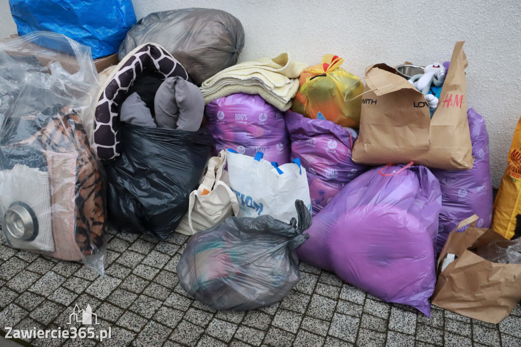 Fotorelacja: Finał akcji „Świąteczna Paka dla Zwierzaka” w Myszkowie