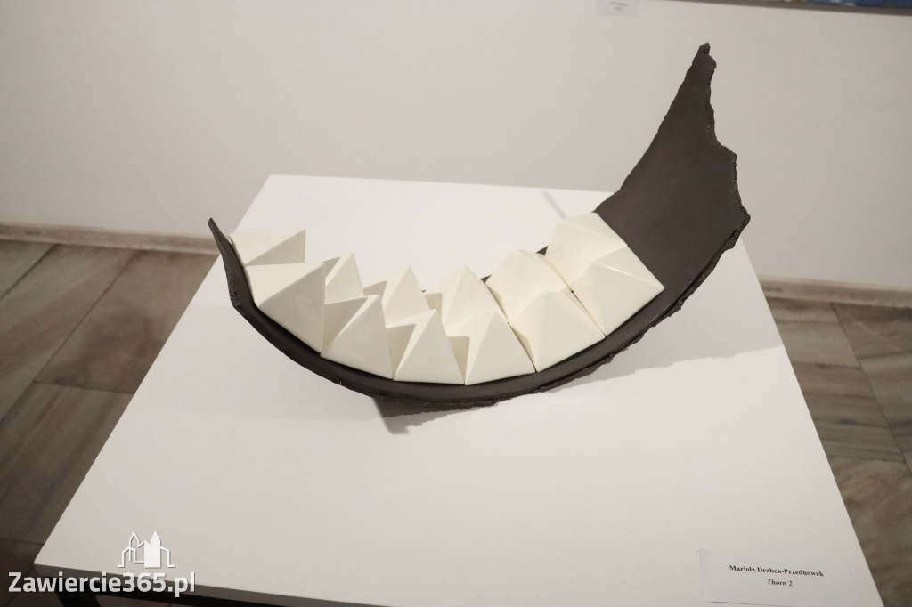 Fotorelacja: Finisaż wystawy „ARTYŚCI NA 110” w Zawierciu