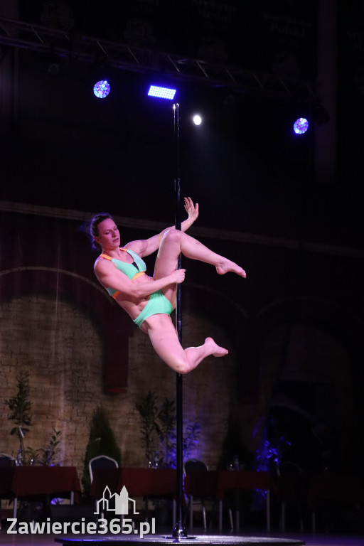 Fotorelacja III: Międzynarodowy Turniej Tańca Towarzyskiego z Iwoną Pavlović w Zawierciu