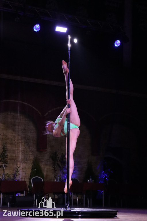 Fotorelacja III: Międzynarodowy Turniej Tańca Towarzyskiego z Iwoną Pavlović w Zawierciu