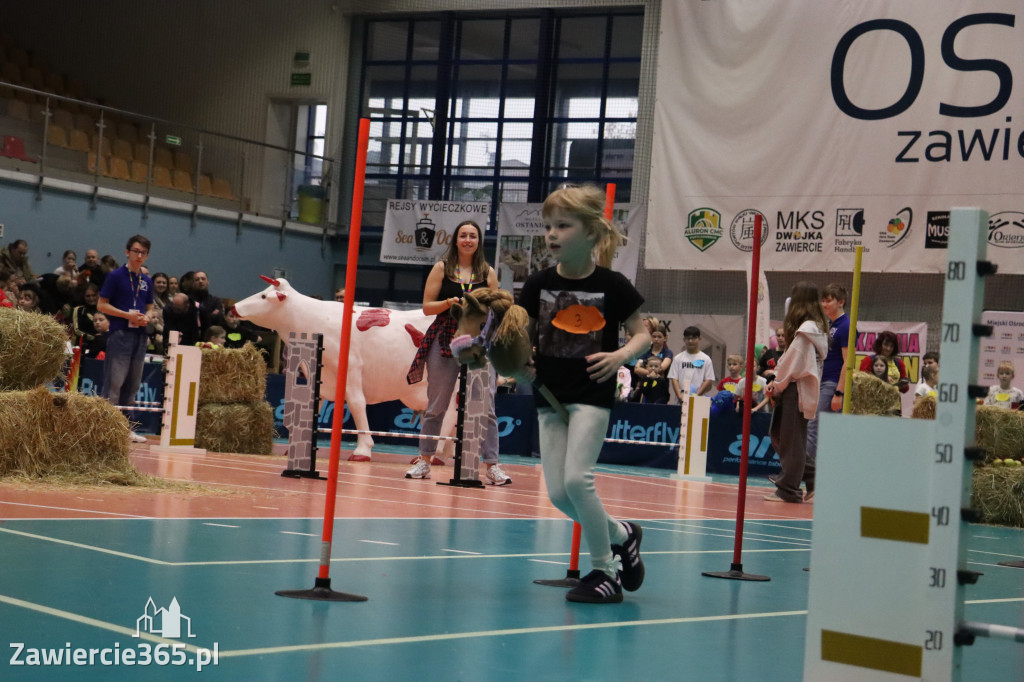 Fotorelacja: IV Zawierciańskie Zawody Hobby Horse