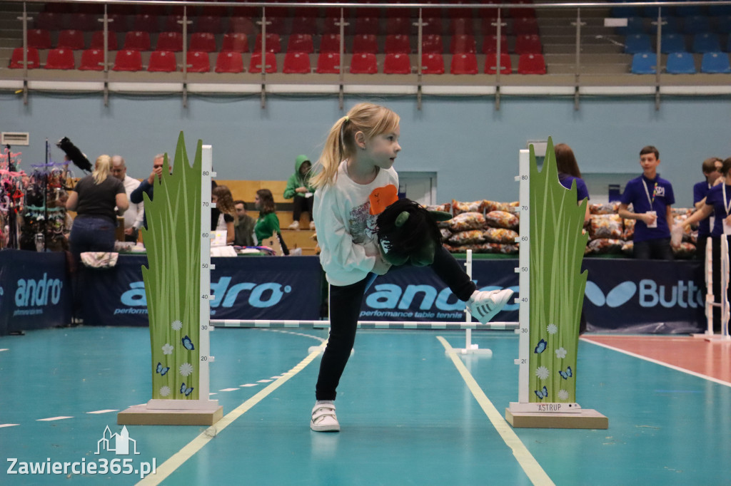 Fotorelacja: IV Zawierciańskie Zawody Hobby Horse