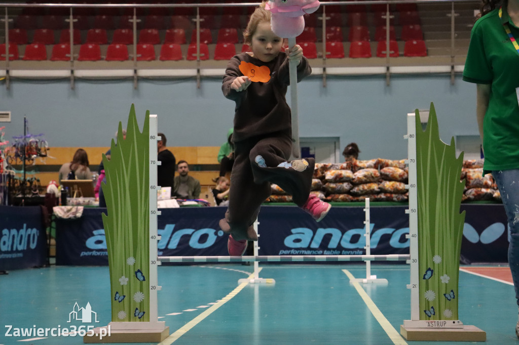 Fotorelacja: IV Zawierciańskie Zawody Hobby Horse