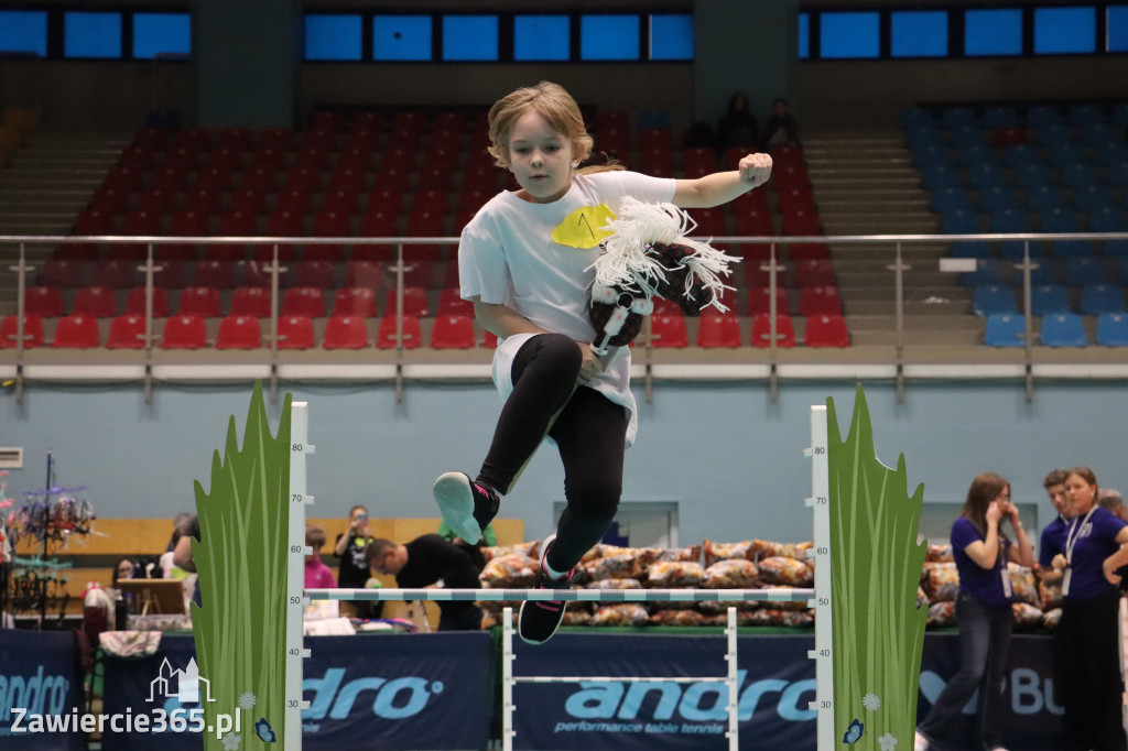 Fotorelacja: IV Zawierciańskie Zawody Hobby Horse