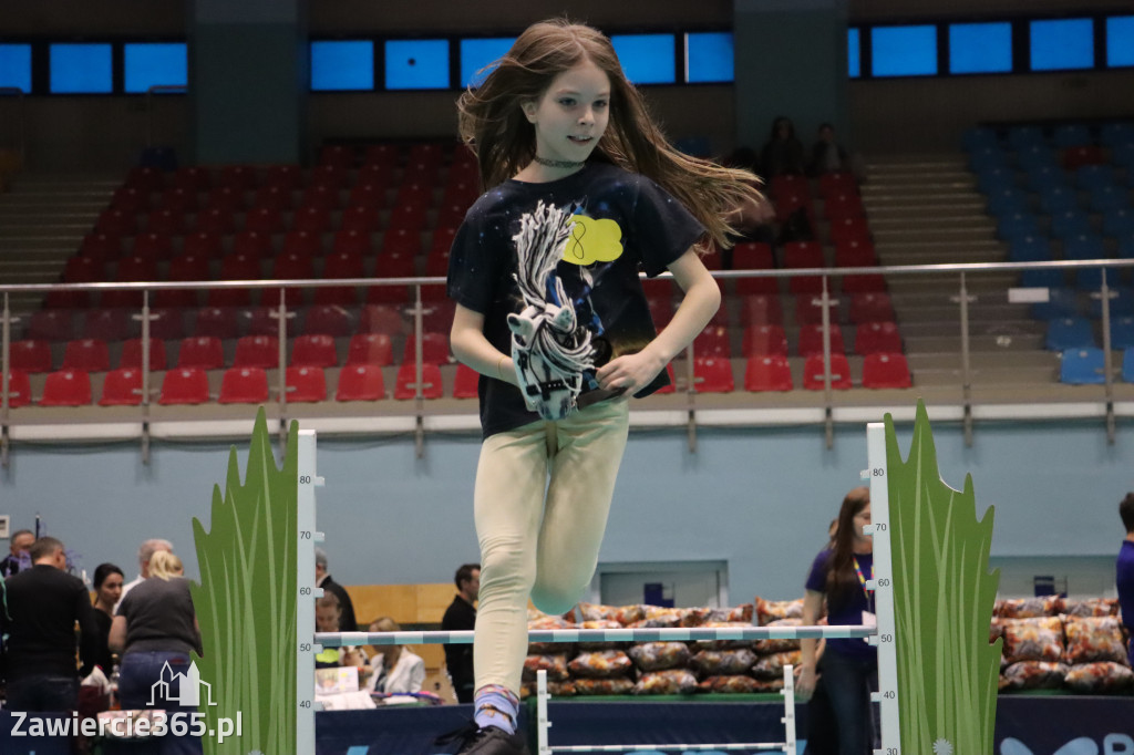 Fotorelacja: IV Zawierciańskie Zawody Hobby Horse