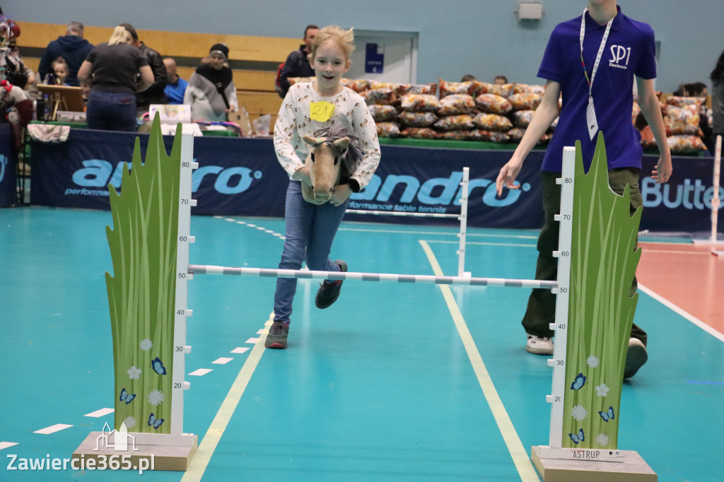 Fotorelacja: IV Zawierciańskie Zawody Hobby Horse