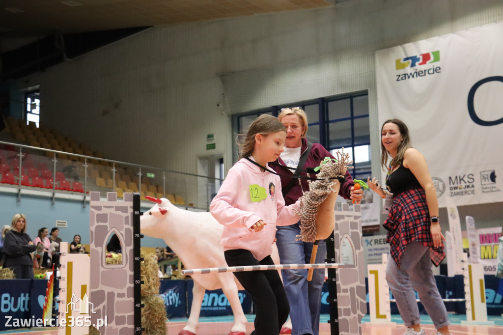 Fotorelacja: IV Zawierciańskie Zawody Hobby Horse