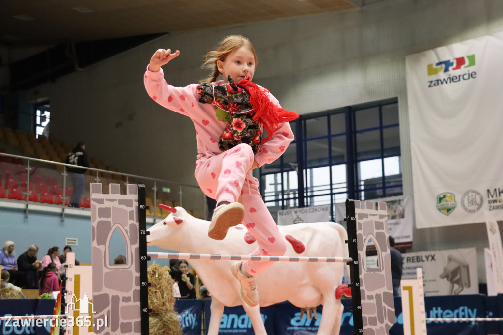 Fotorelacja: IV Zawierciańskie Zawody Hobby Horse