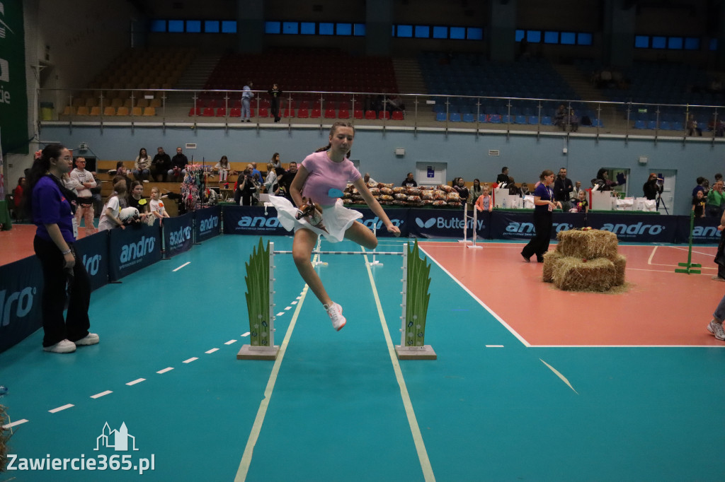 Fotorelacja: IV Zawierciańskie Zawody Hobby Horse