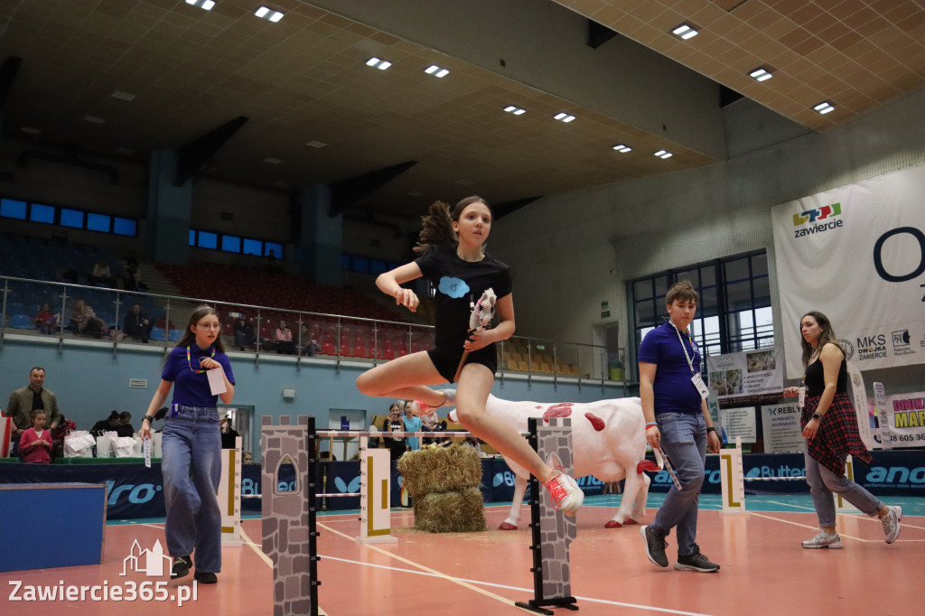 Fotorelacja: IV Zawierciańskie Zawody Hobby Horse