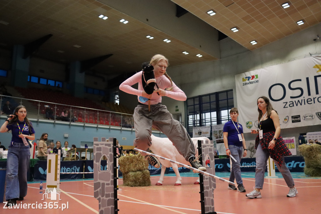 Fotorelacja: IV Zawierciańskie Zawody Hobby Horse