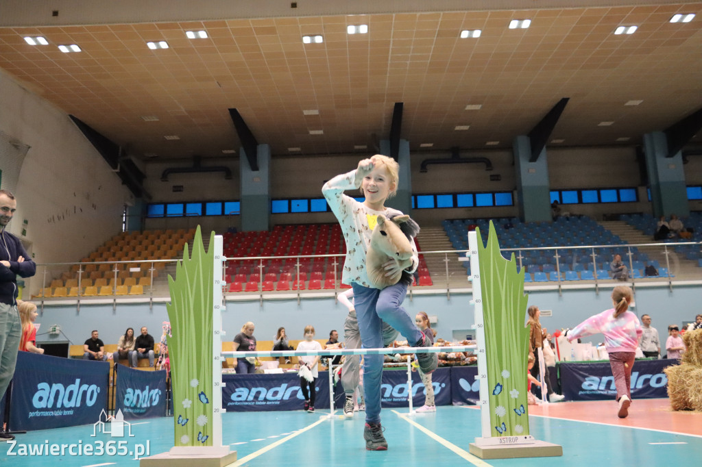 Fotorelacja: IV Zawierciańskie Zawody Hobby Horse