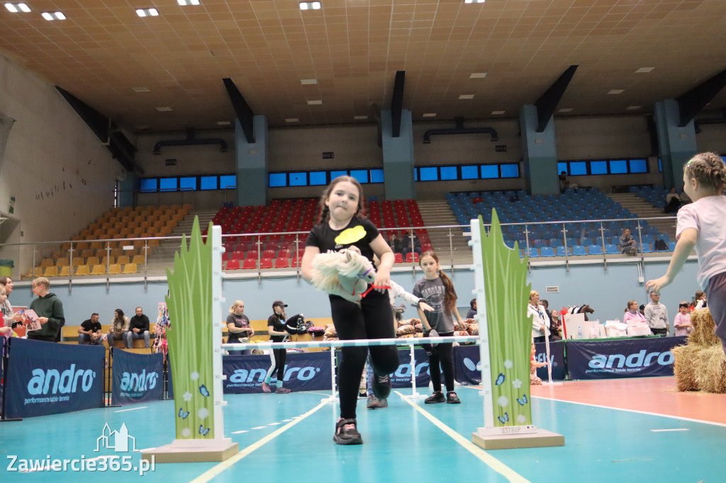 Fotorelacja: IV Zawierciańskie Zawody Hobby Horse