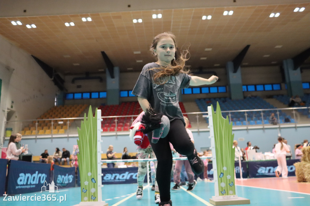 Fotorelacja: IV Zawierciańskie Zawody Hobby Horse