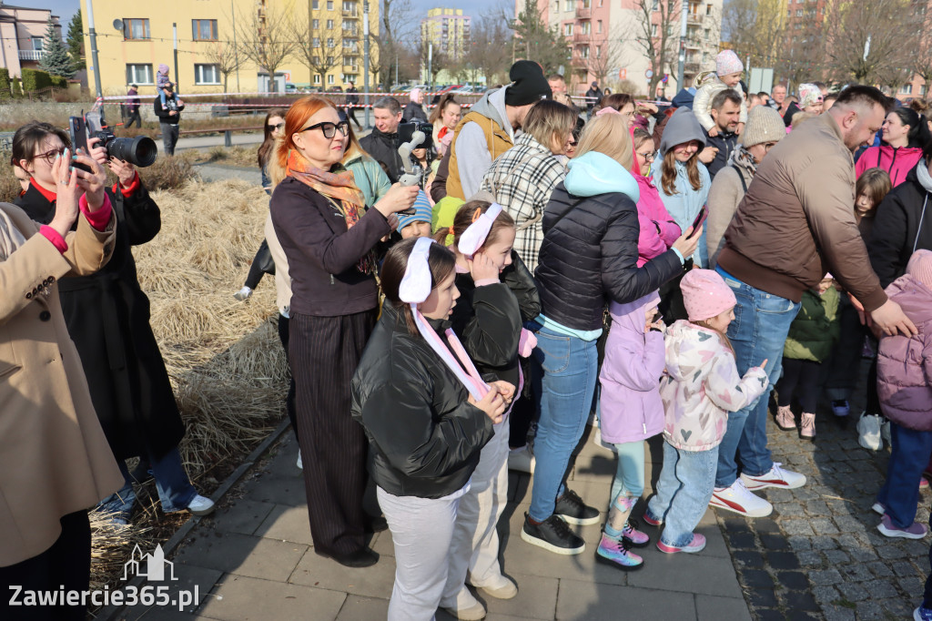 Fotorelacja: Gonitwa Jurajskiego Zająca w Zawierciu