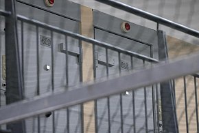 Białystok: półtora roku więzienia za wyrzucenie psa przez balkon-31807