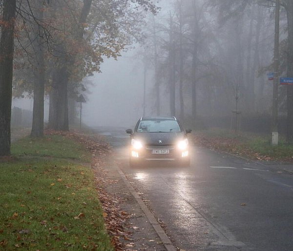 Synoptyk IMGW: gęste mgły i przymrozki; na drogach będzie ślisko-40887