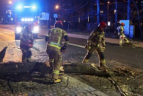 Minionej doby strażacy interweniowali 1578 razy w związku z burzami; alert RCB na -53339