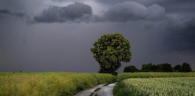 Alert RCB i ostrzeżenia IMGW I i II stopnia dla całego kraju przed burzami i silny-53396
