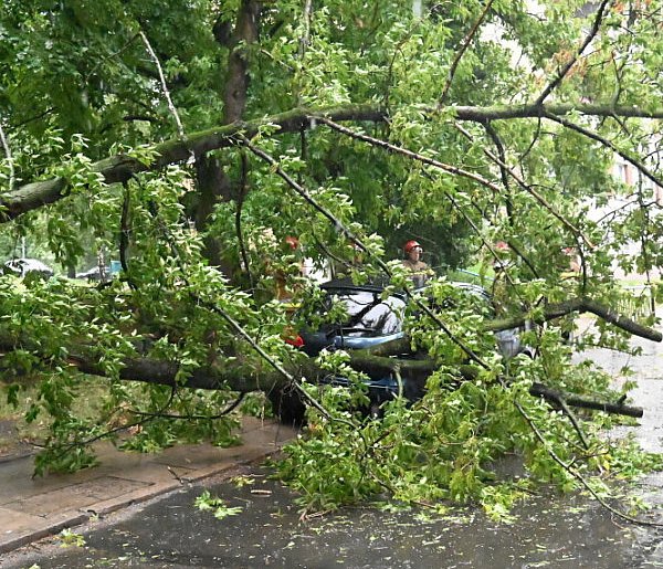Straż Pożarna: ponad 700 zgłoszeń w związku z intensywnymi burzami i silnym wiatre-53414