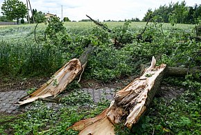 Straż pożarna: w niedzielę 728 zgłoszeń związanych z pogodą-53444