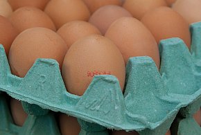 Salmonella na jajach znanej marki. Nie jedz, jeśli masz je w lodówce!-54492