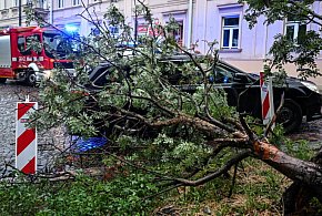 Straż pożarna: 1607 interwencji w związku z burzami-54852