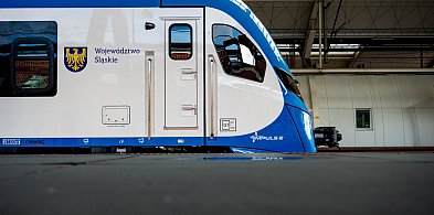 Darmowe przejazdy Kolejami Śląskimi na Memoriał Kamili Skolimowskiej-56608