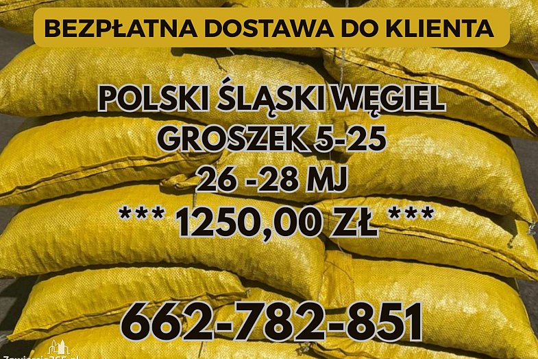 zdjecie ogloszenia