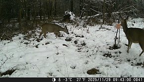 Jurajska fauna okiem fotopułapki -...