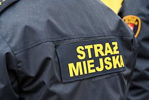 Zapuka strażnik, zapłacisz karę. Ruszyły kontrole w całej Polsce-59590