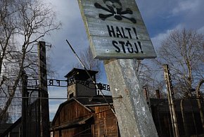 82 lata temu do Auschwitz dotarł pierwszy transport Żydów z Włoch-59961