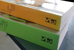 Współautorka benchmarku OneRuler: nie pokazaliśmy wcale, że język polski jest najl-60702