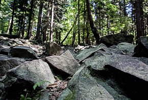 Na Łysicy ma zostać odtworzona piramida Armińskiego - najstarszy polski znak geode-60787