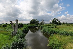 Co dalej z nowym parkiem narodowym? Minister klimatu zdradza plan po wecie-60833