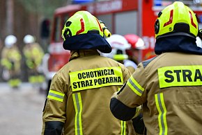 Od piątku w wyniku pożarów zginęło dziewięć osób-61333