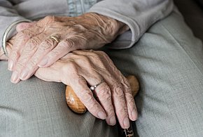 Te osoby dostaną dwie emerytury w grudniu. ZUS przesuwa przelewy-61420