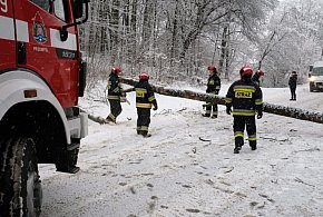 2101 interwencji strażaków po opadach śniegu i deszczu ze śniegiem-61520
