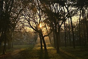 Nadchodzi najkrótszy dzień w 2025 roku. Sprawdź, kiedy przypadnie-62654