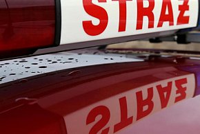 PSP: 361 pożarów w pierwszy dzień świąt; zginęły dwie osoby-62945