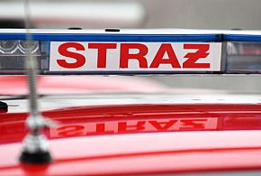 PSP: w sobotę strażacy interweniowali 215 razy w związku z silnym wiatrem-62989