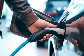 Coraz częściej dochodzi do takich kradzieży. Powody zaskakują-63486